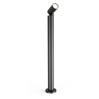 SJ14402 Zumaline NOCTURNE